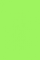 Papír barevný A3 80g/m2 100 archů č.67 jarní zelená foto