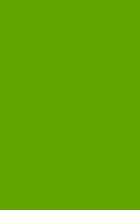 Karton bar. A3 160g/100l. č.69 tmavě zelený foto