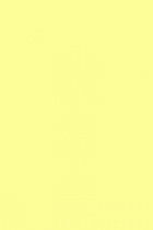 Papír barevný A3 80g/m2 100 archů č.13 světle žlutá foto