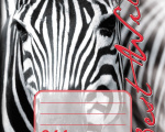 644-zoo-zebra-cerveny