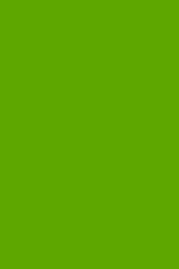 Papír barevný A3 80g/m2 100 archů č.69 tm. zelená