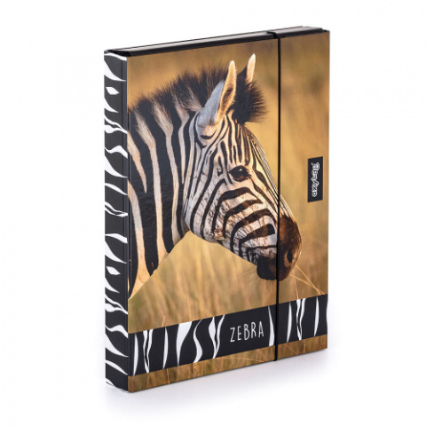 Box na sešity A4 s gumou JUMBO 4cm Zebra