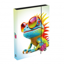 Box na sešity A4 Jumbo Chameleon foto