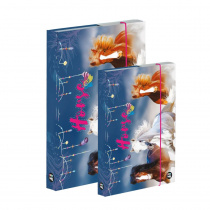 Box na sešity A4+A5 s gumou AKCE 1+1 kůň foto