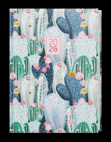 Denní diář - David - Lamino - A5 - Kaktus