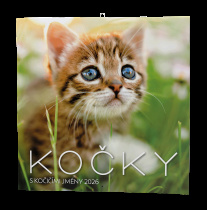 Nástěnný kalendář - Kočky foto