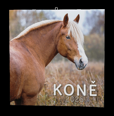 Nástěnný kalendář - Koně