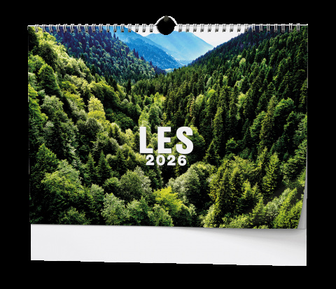 Nástěnný kalendář - Les