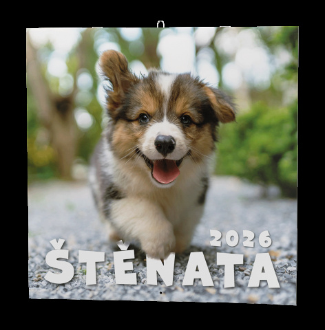 Nástěnný kalendář - Štěňata