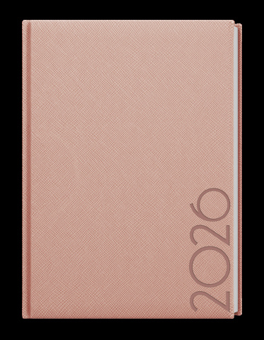Týdenní diář - Prokop - Tora - B6 - pudrová