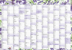 Nástěnný roční kalendář (600x420 mm) - Levandule foto