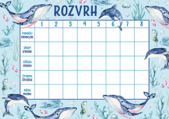 Rozvrh hodin A5 Oceán foto